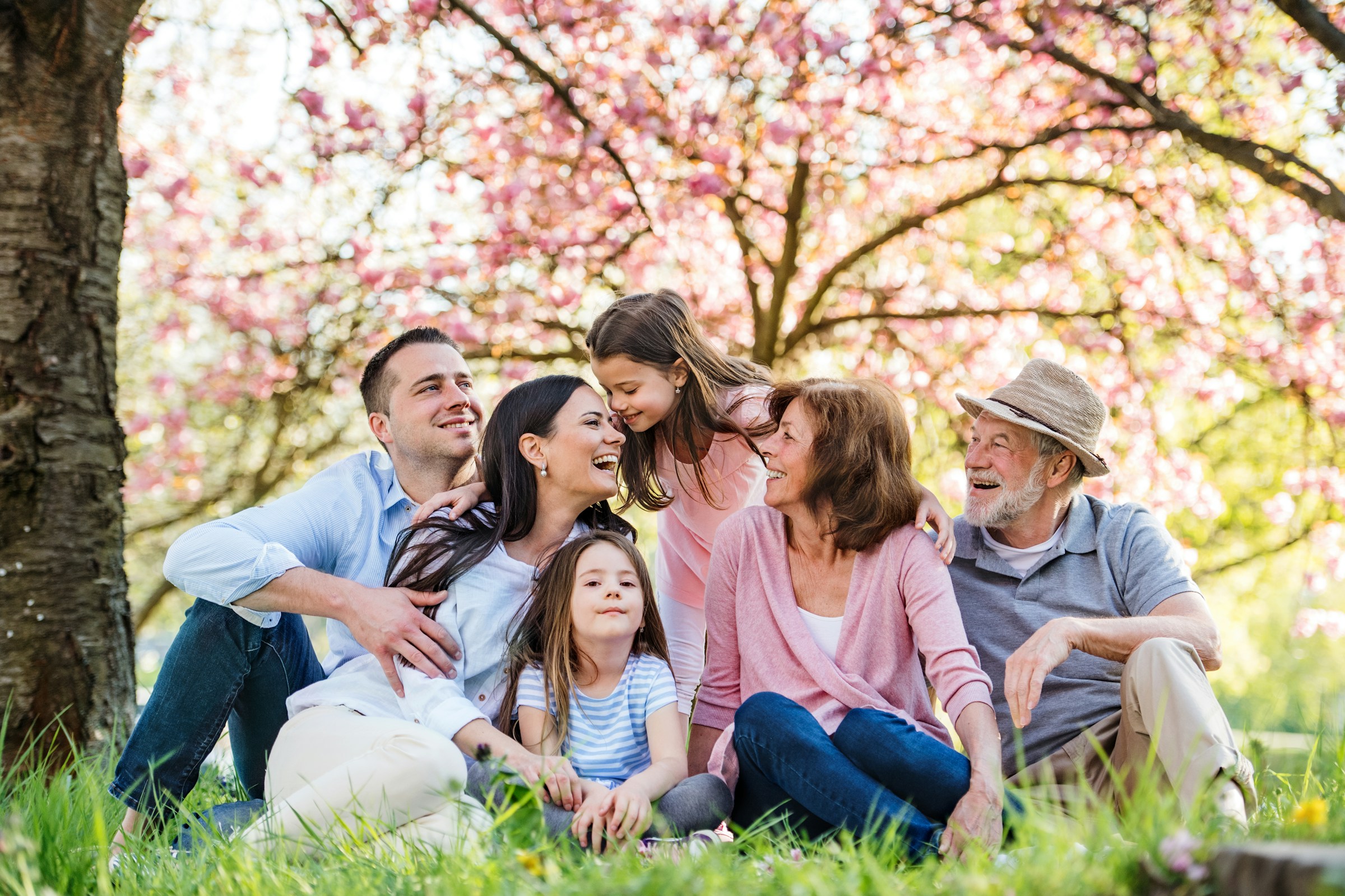 The Overlooked Basics of Family Office