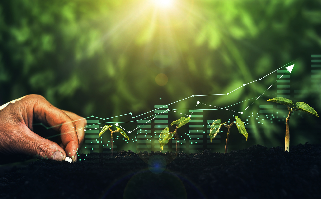 Higher Yields Put the Market’s Recovery to the Test