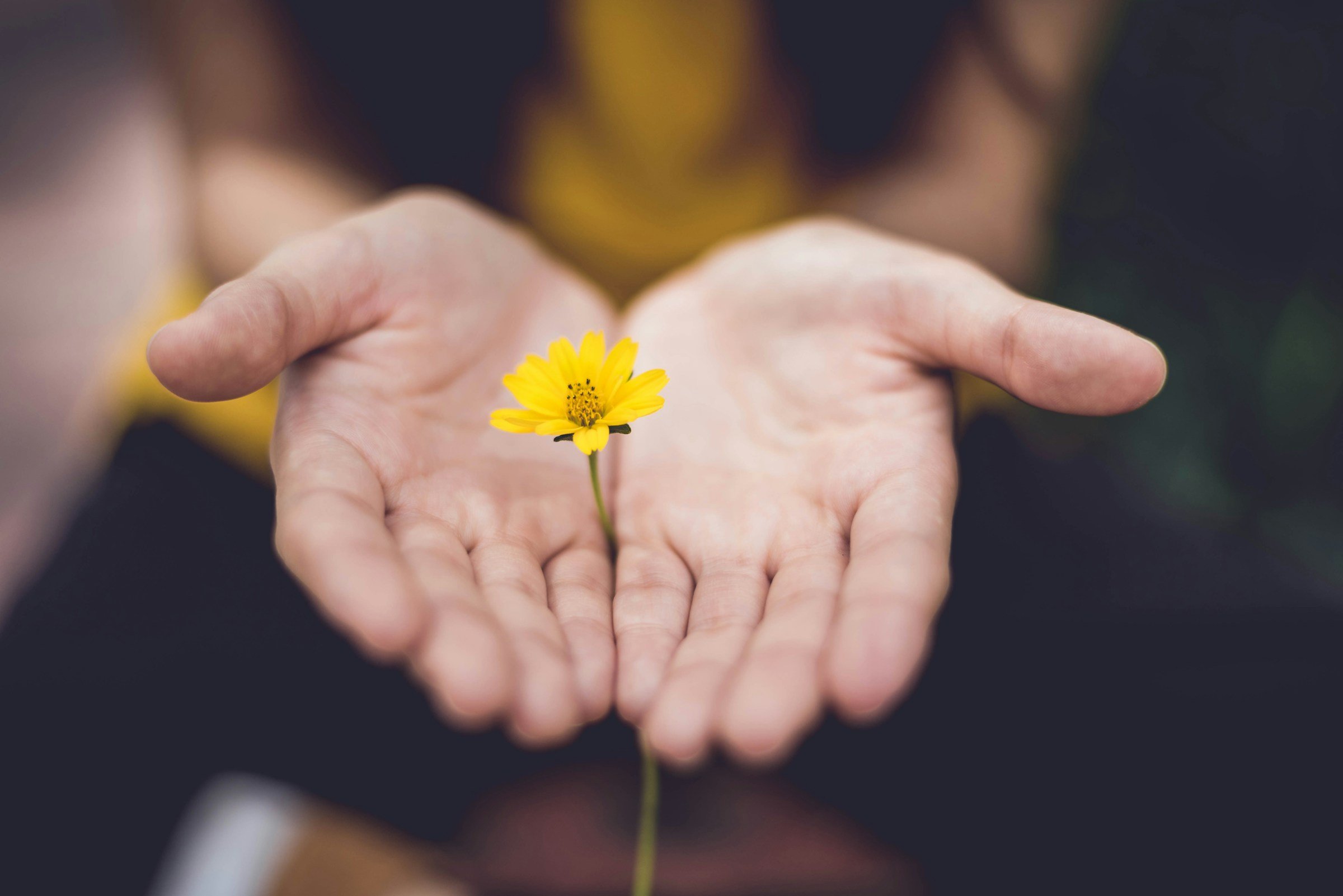 Essential Instruments for Philanthropic PLANNING